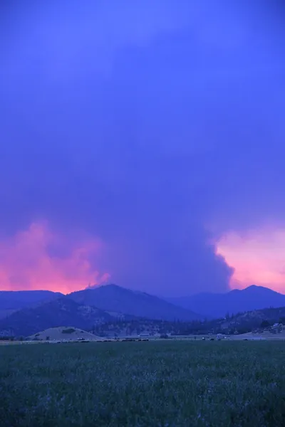 DSC_1850 (Large).JPG